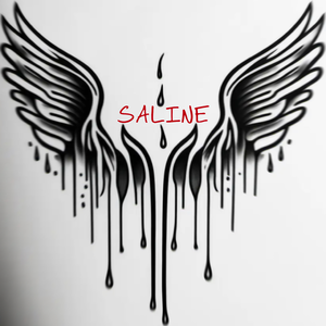 n0788爱乃娜美最经典三首歌
