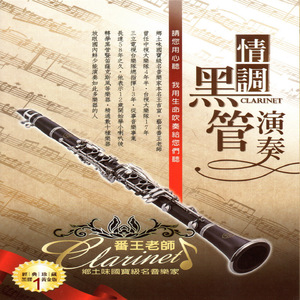 n0788爱乃娜美最经典三首歌
